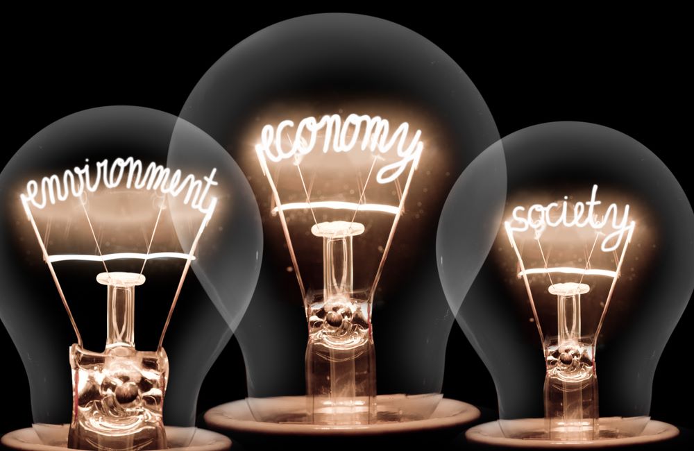 light bulbs with shining fibres in ECONOMY, ENVIRONMENT and SOCIETY shape on black background