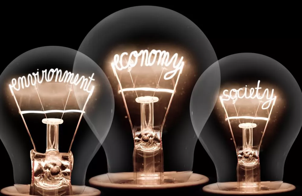 Light bulbs with shining fibres that spell out ECONOMY, ENVIRONMENT and SOCIETY on black background.